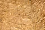 Philae Temple Aswan Egypt 2023